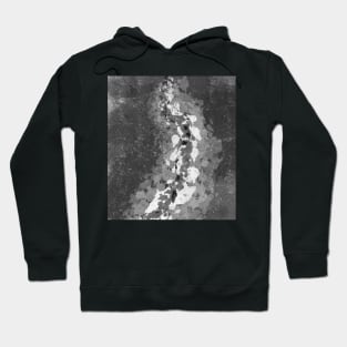 Graphite Hoodie